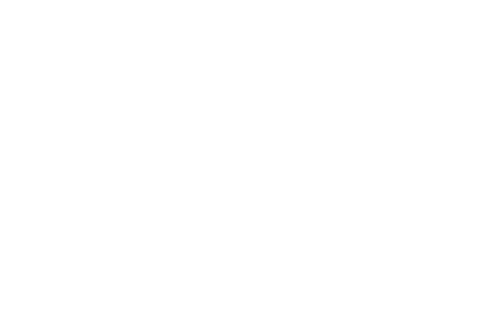The Phone Stand logo white